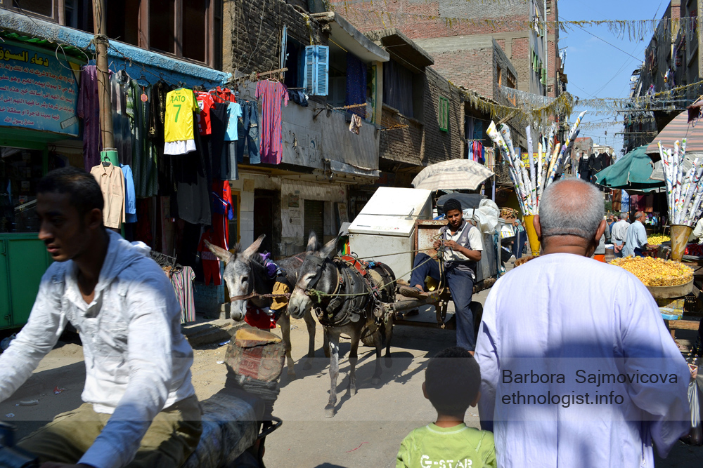 Photo: Barbora Sajmovicova The young man with donkeys in Manshiyat Naser. Photo: Barbora Sajmovicova, 2011, Nikon D3100.