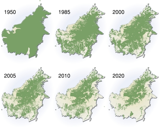 Autor: Hugo Ahlenius, UNEP/GRID-Arendal http://www.grida.no/graphicslib/detail/extent-of-deforestation-in-borneo-1950-2005-and-projection-towards-2020_119c
