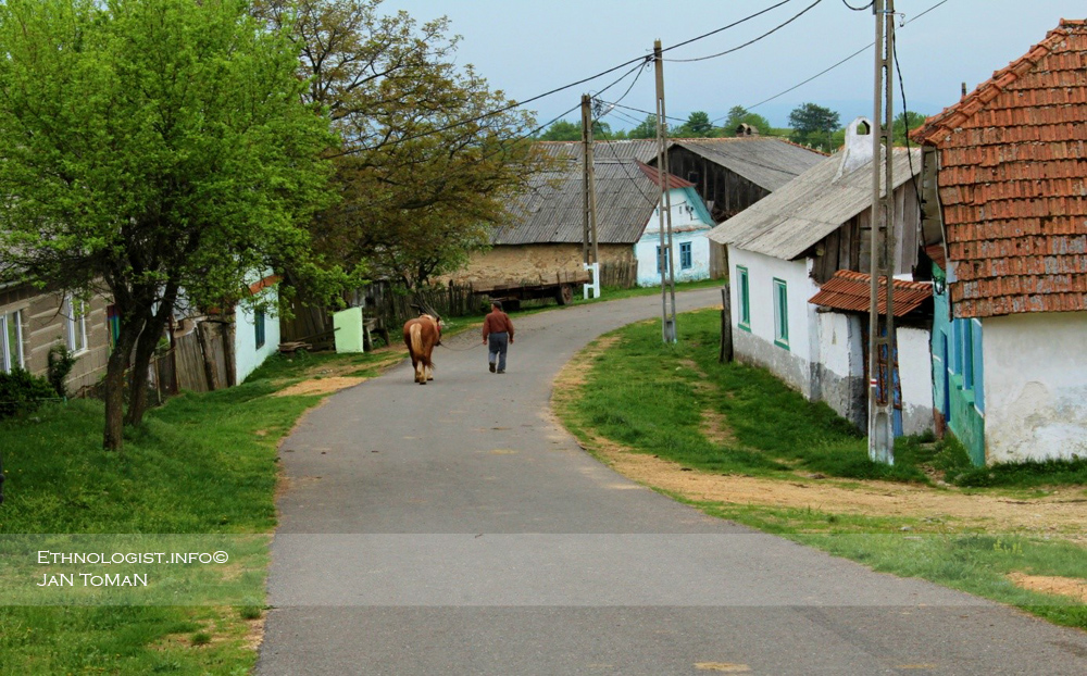 Foto: Jan Toman Podvečer v Rovensku. Foto: Jan Toman, 2016.