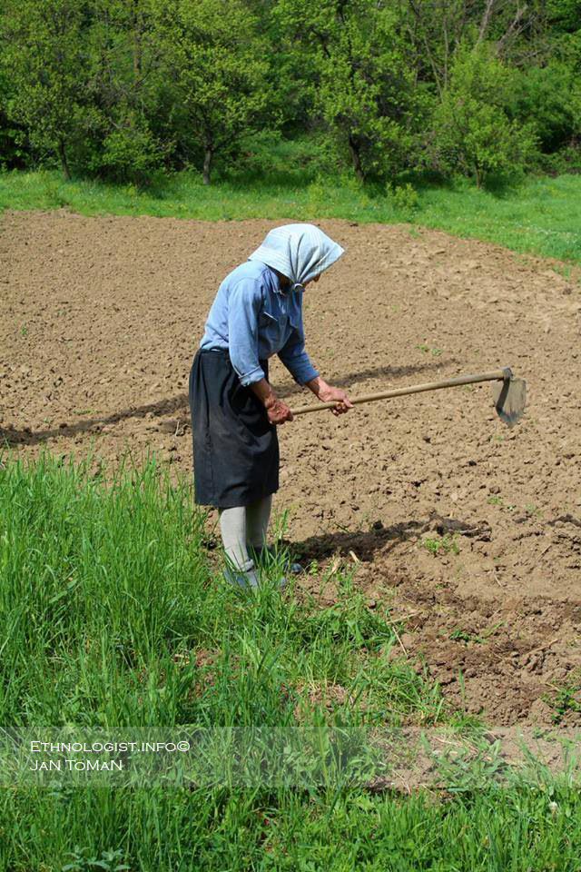 Foto: Jan Toman Pracující žena na poli v Einbentále. Foto: Jan Toman, Rumunsko, 2016.