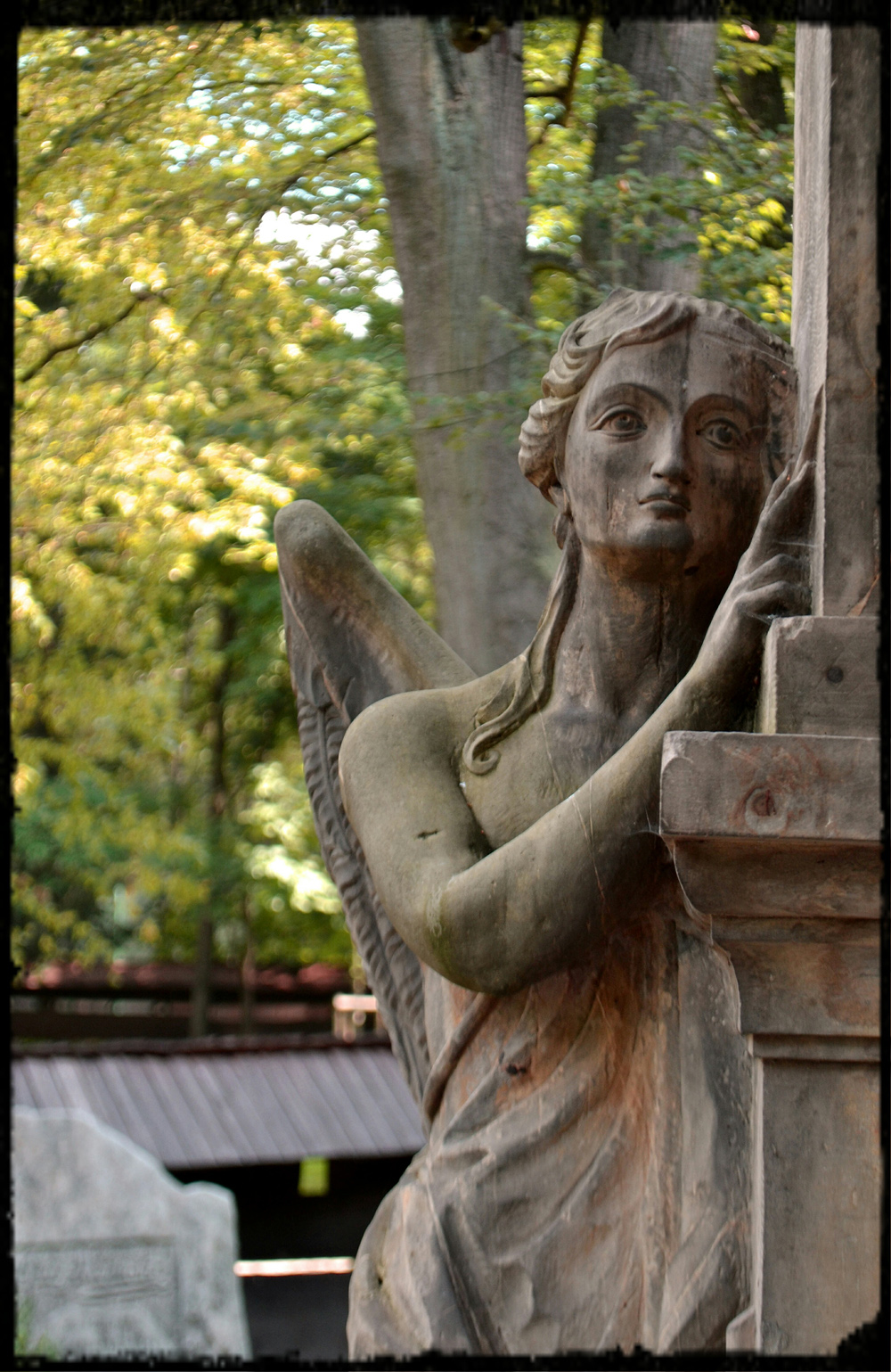 Foto: Barbora Šajmovičová Hřbitov na Valašsku. Foto: Barbora Šajmovičová, 2016.