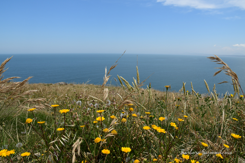Photo: Barbora Sajmovicova The view on Uruguayan coast near Punta del Este. Photo: Barbora Sajmovicova, 2016, Uruguay.