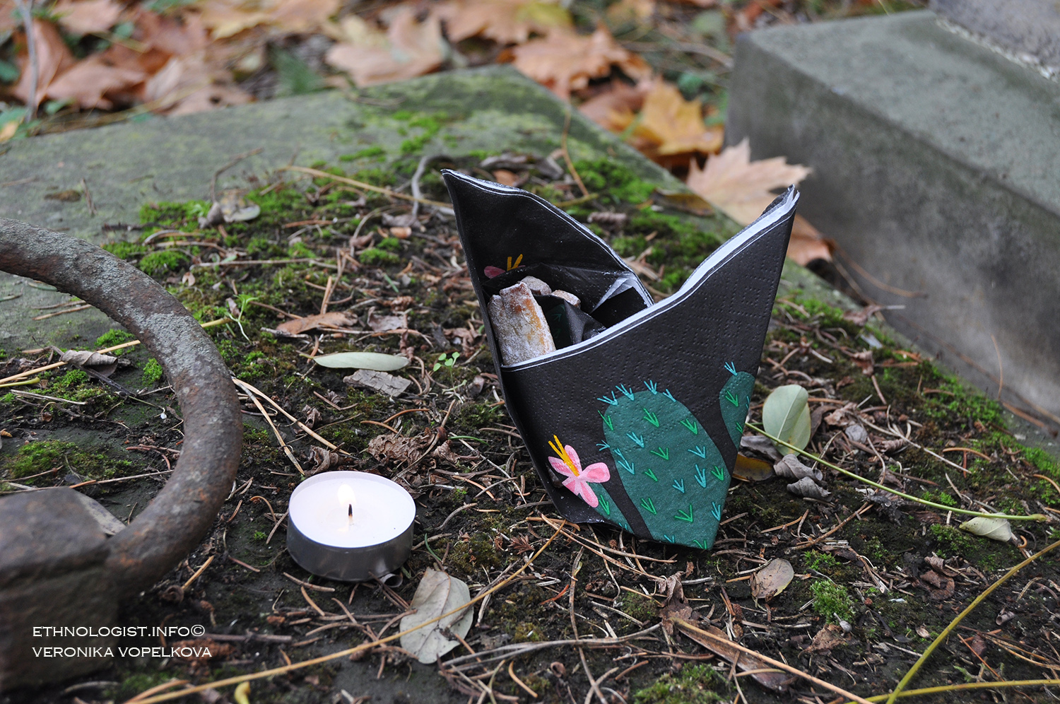 Foto: Veronika Vopelková O víkendu jsme navštívili hřbitov a uctili památku zesnulých. Foto: Veronika Vopelková, 2017.