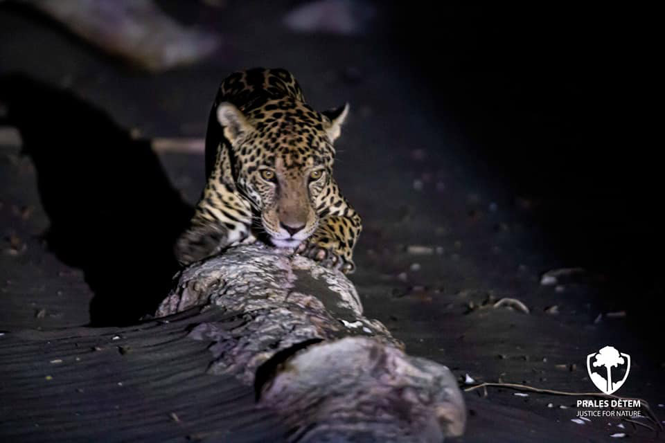 Foto: Zuzana Koloušková