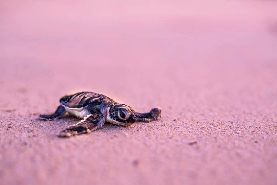 Foto: Zuzana Koloušková