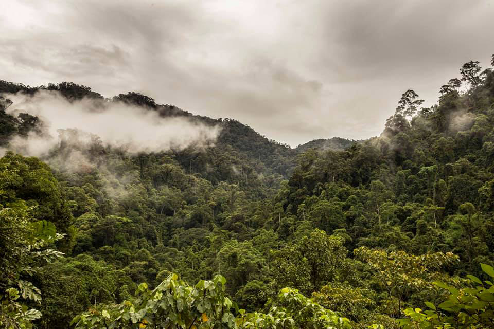 Foto: Zuzana Koloušková