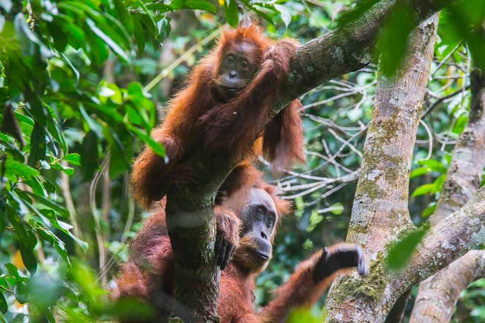 Foto: Zuzana Koloušková