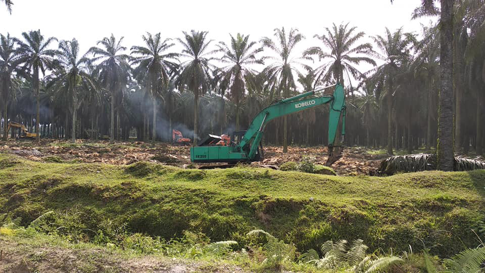 Foto: Zuzana Koloušková