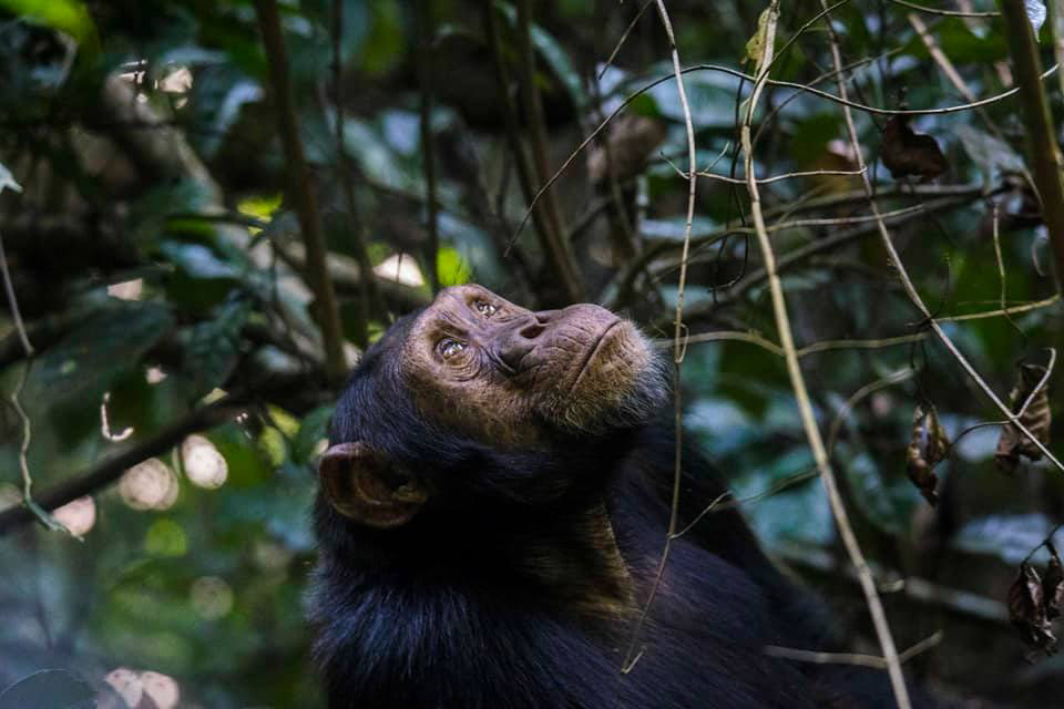 Foto: Zuzana Koloušková