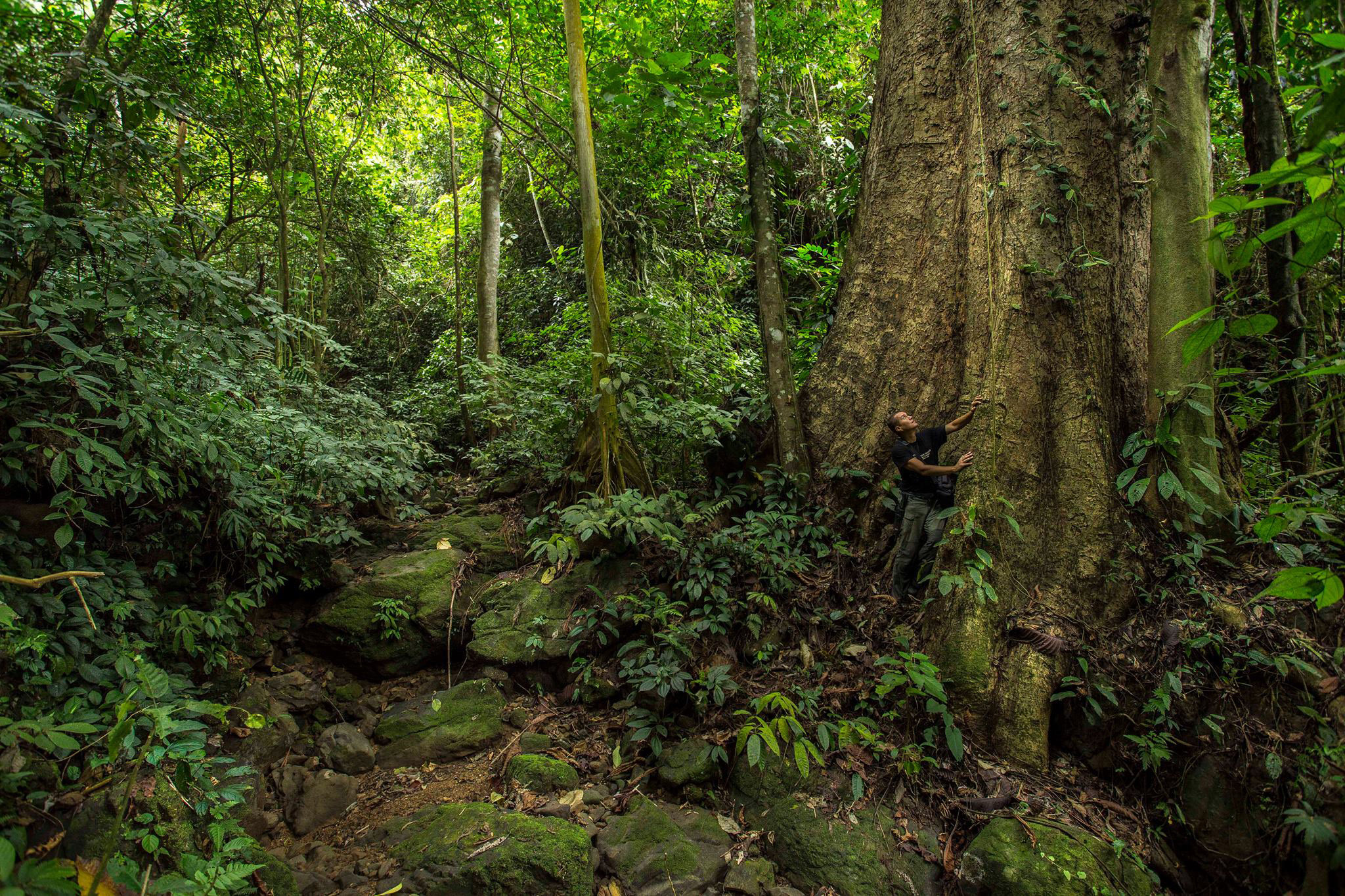 Photo: Zuzana Koloušková