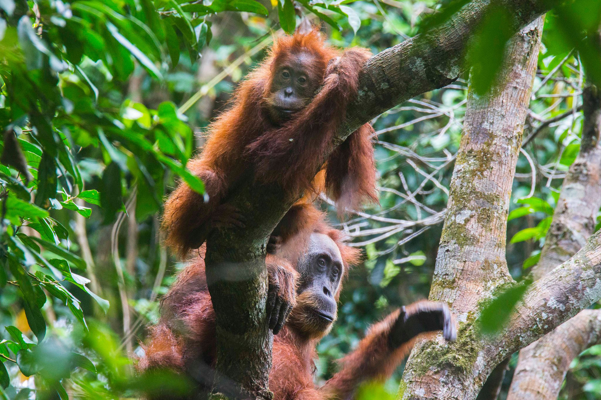 Photo: Zuzana Koloušková