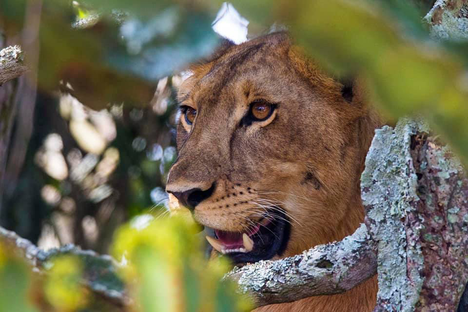 Photo: Zuzana Koloušková