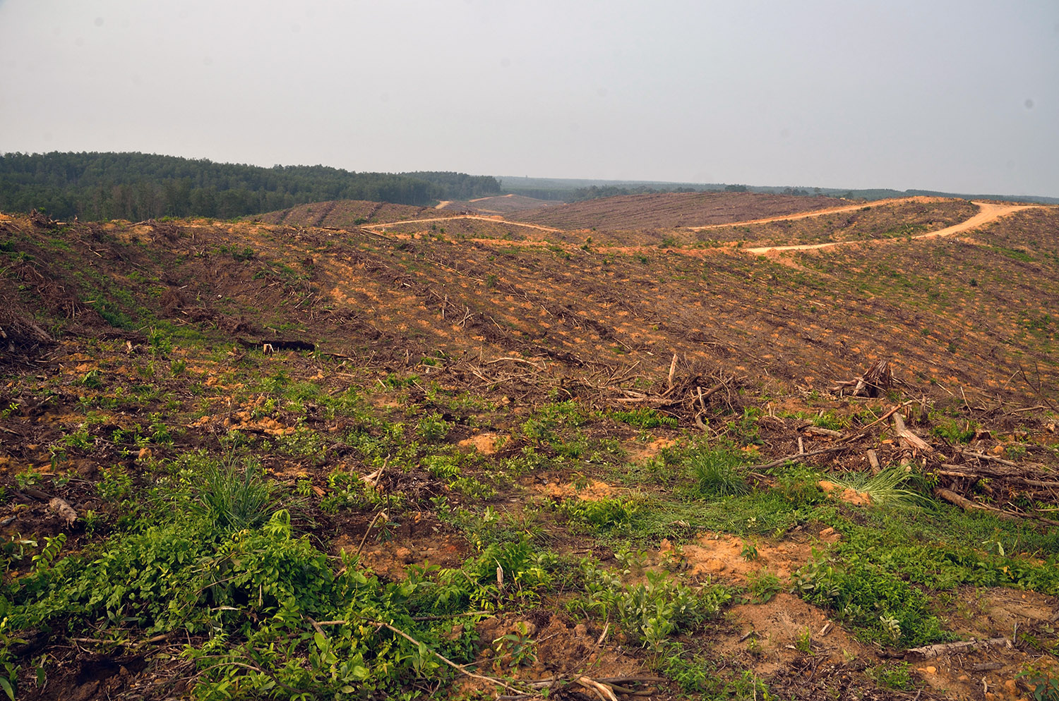 Photo: Zuzana Koloušková