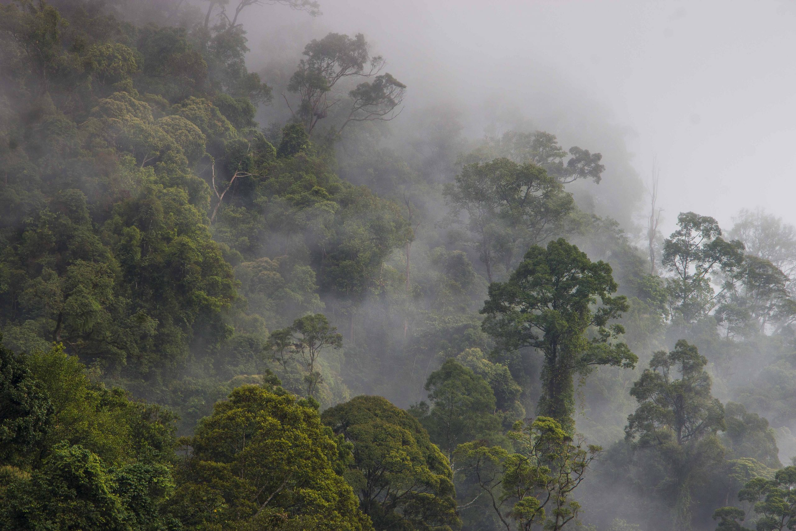 Photo: Zuzana Koloušková