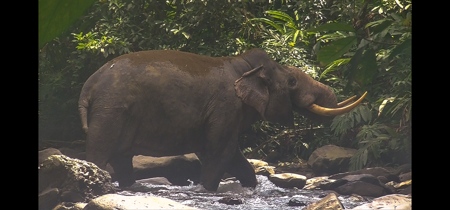Photo: Zbyněk Hrábek