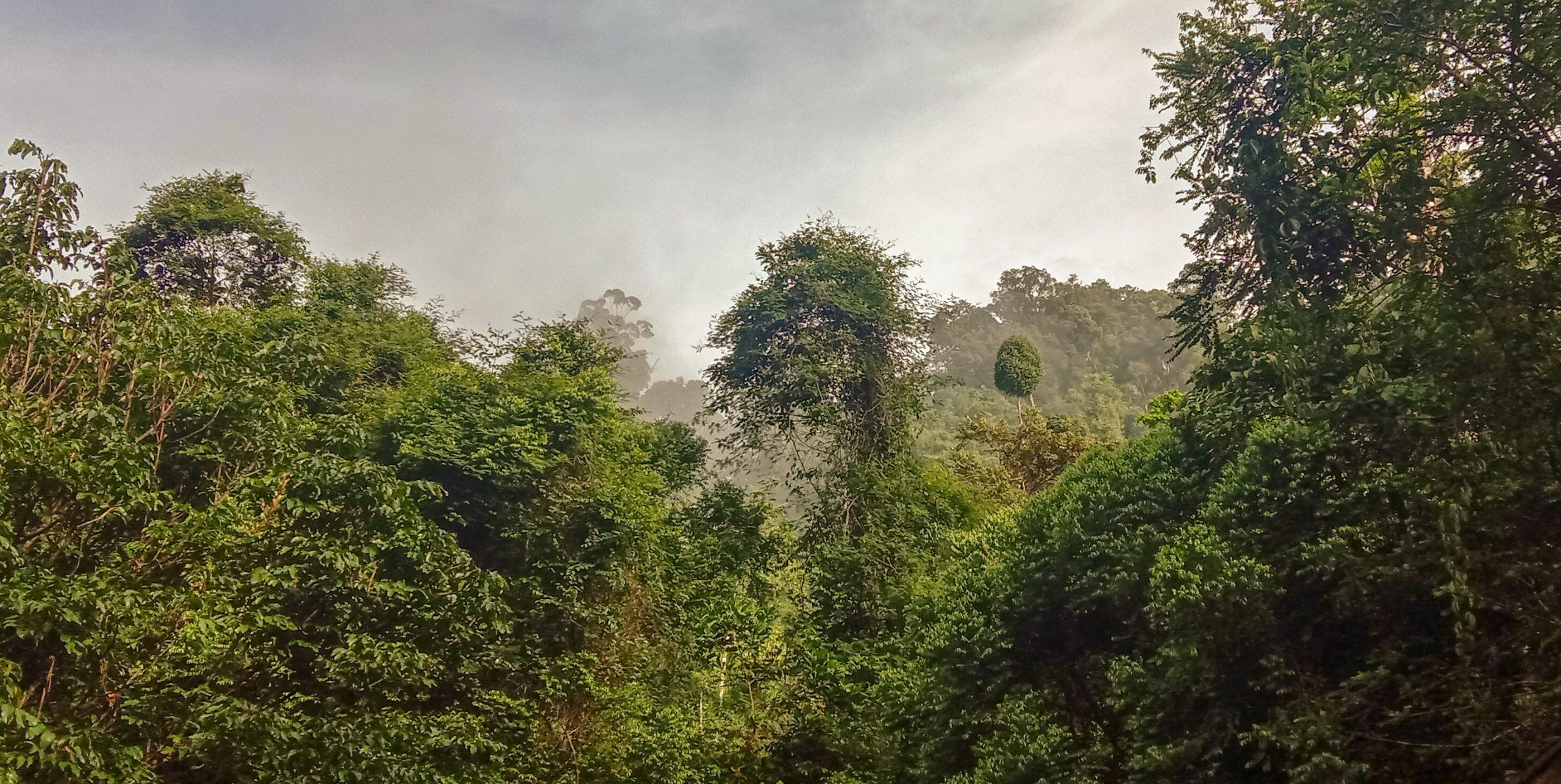 Photo: Zbyněk Hrábek