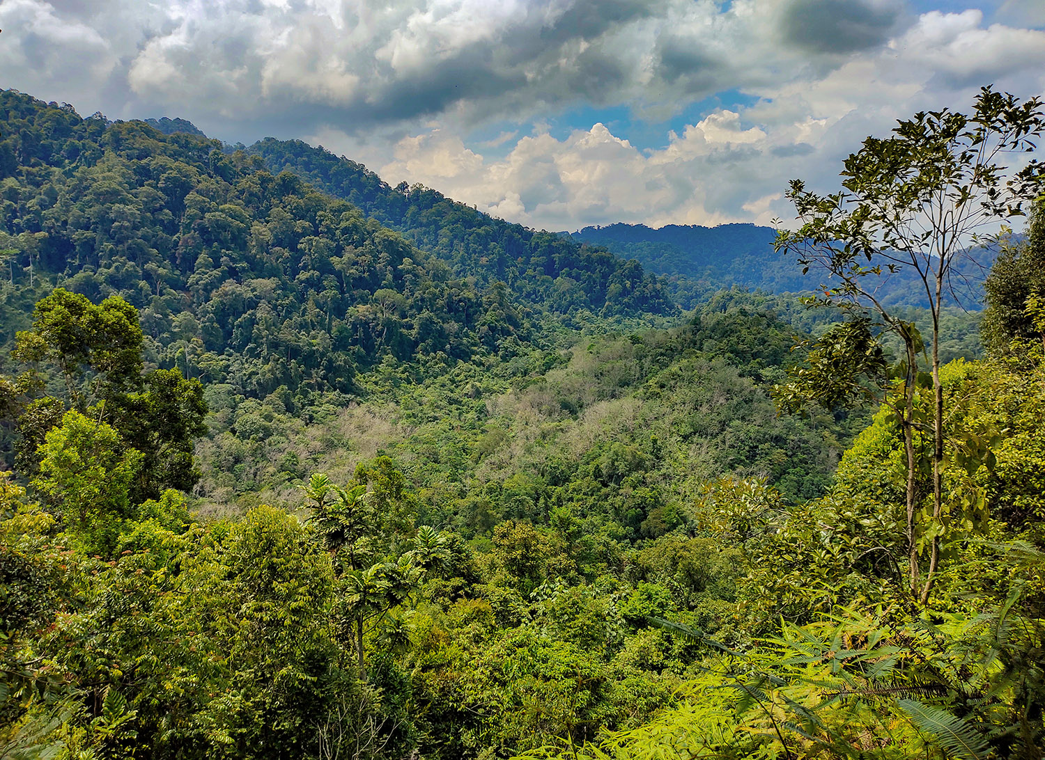 Photo: Zbyněk Hrábek