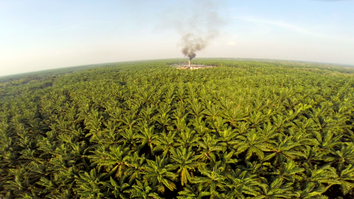 Photo: Zuzana Koloušková